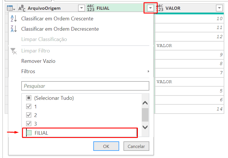 Filtro da coluna FILIAL para excluir as linhas de cabeçalho repetidas.